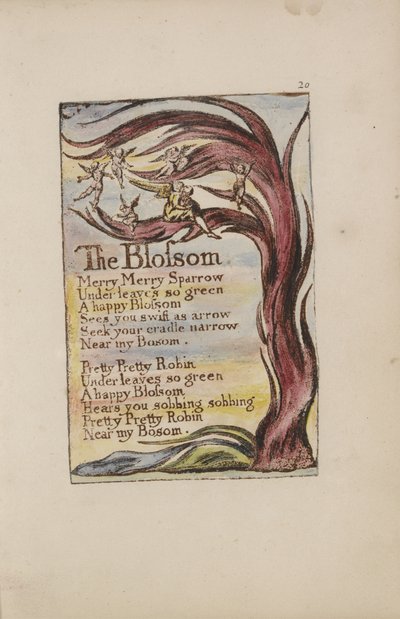 The Blossom, plate 20 from Songs of Innocence and of Experience [Bentley 11] c.1789-94 by William Blake